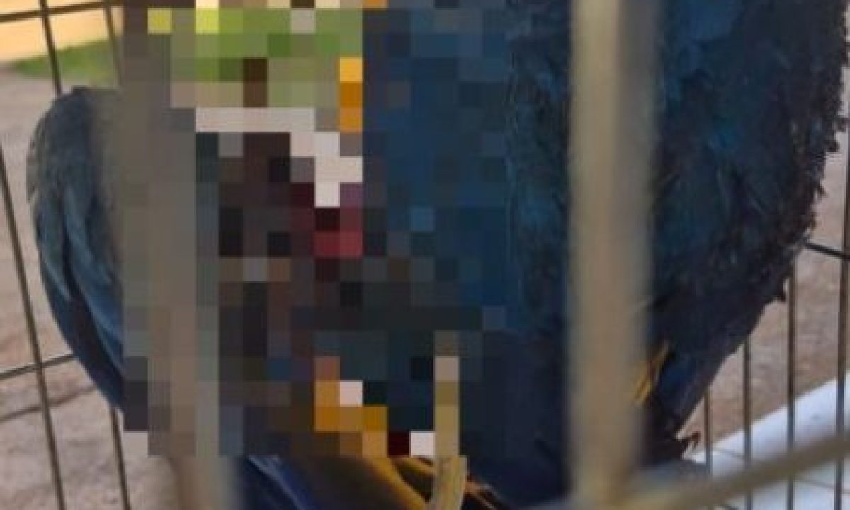 WhatsApp-Image-2025-08-14-at-09.38.58-scaled-420x280_c