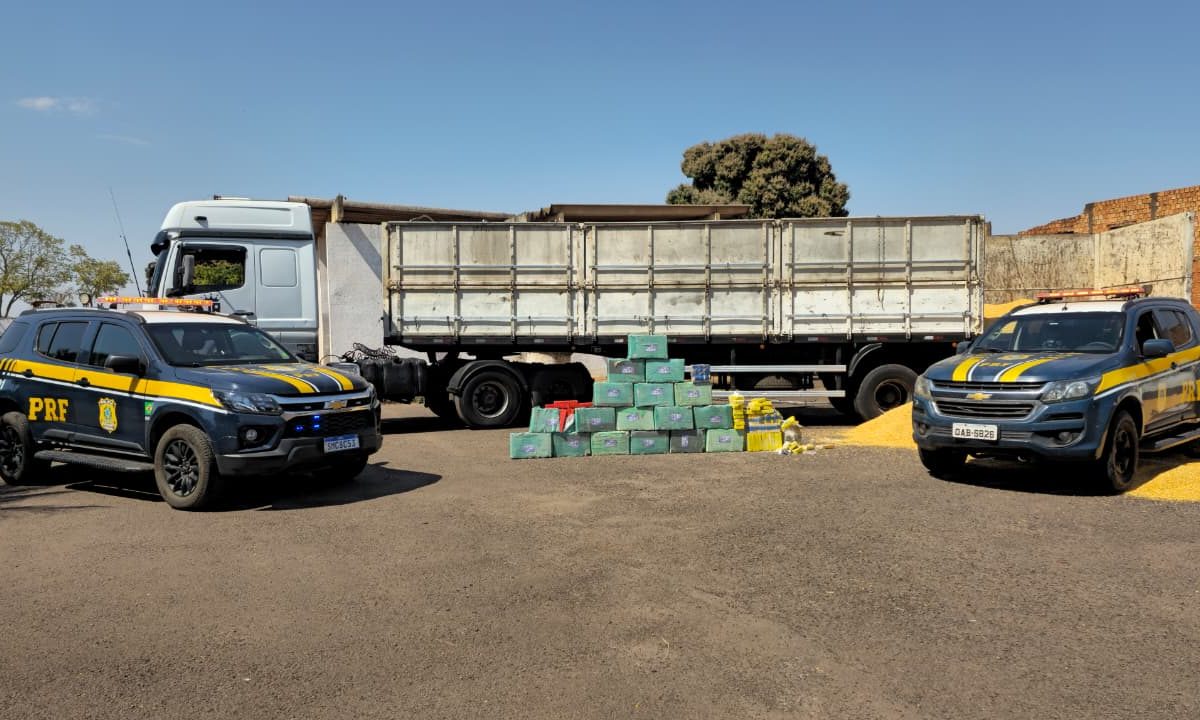 WhatsApp Image 2025-08-17 at 15.07.20