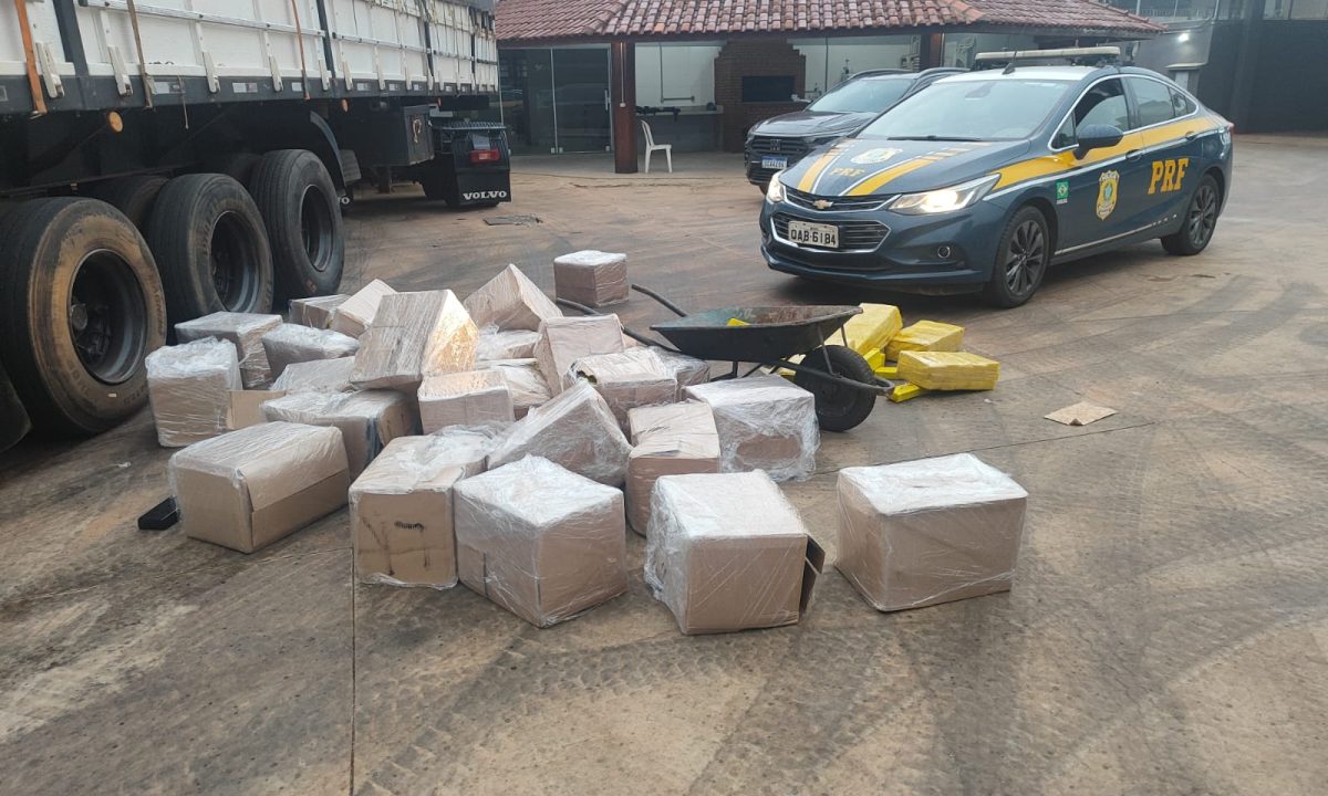 WhatsApp Image 2025-10-11 at 08.27.47