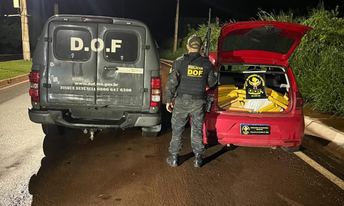 WhatsApp Image 2025-11-10 at 12.00.35