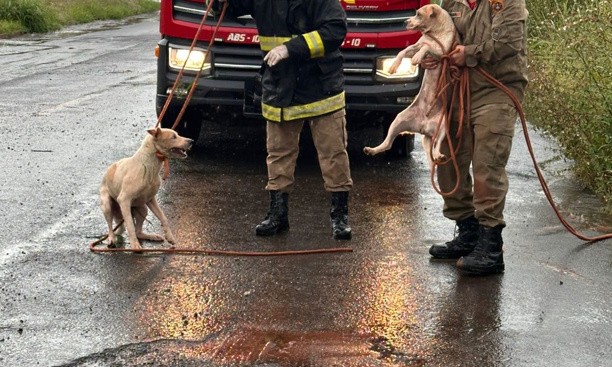 WhatsApp Image 2026-03-09 at 17.14.51