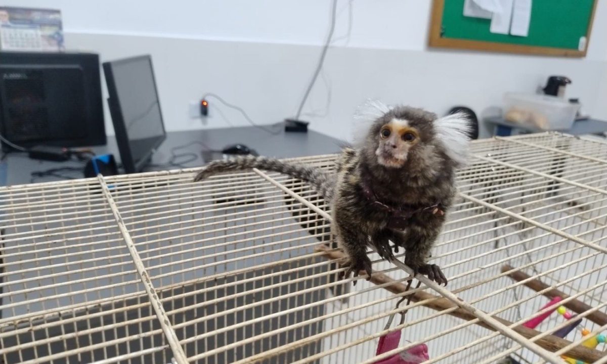 a30d60d1-dae6-4bda-89a8-03d219be7025-1320x993