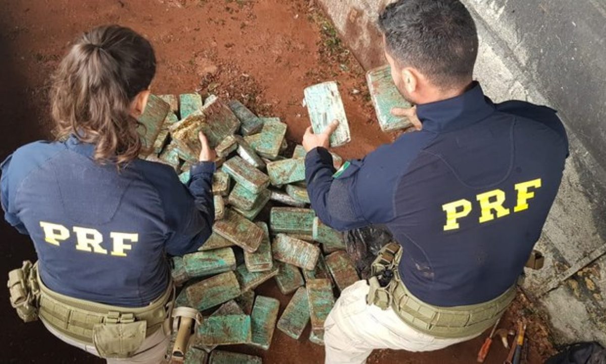 ad567cba-c87a-408d-b949-7fb8b0255308