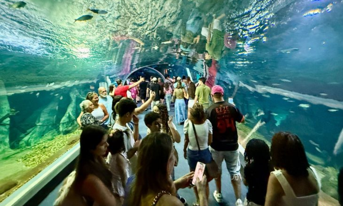 afe8b2af-428a-439b-b47b-a01112d8650c