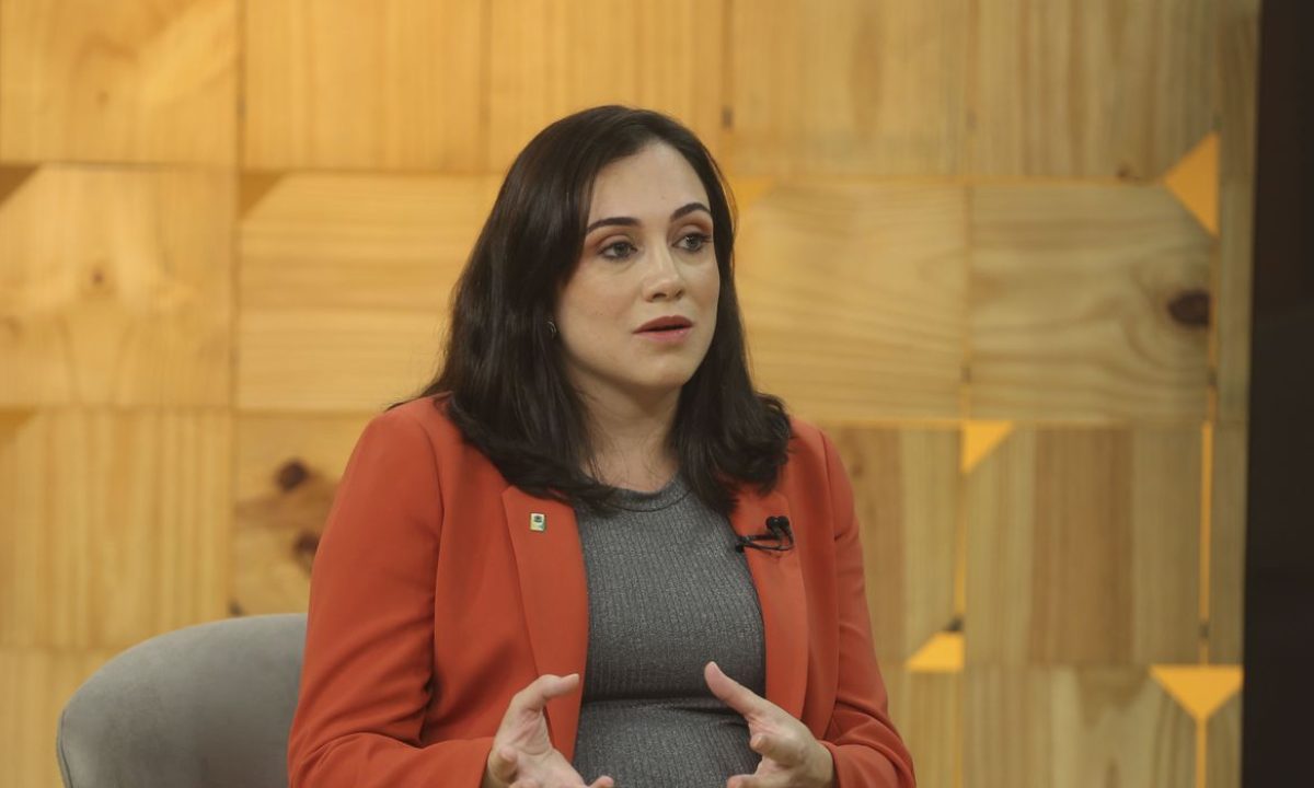  A secretária- executiva do Pátria Voluntária Pollyana de Freitas Andrade Miguel, é a entrevistada no programa  Brasil em Pauta.