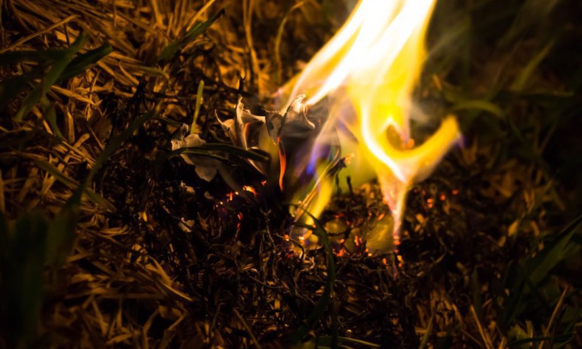 burning-ashes-paper-airplane-scaled