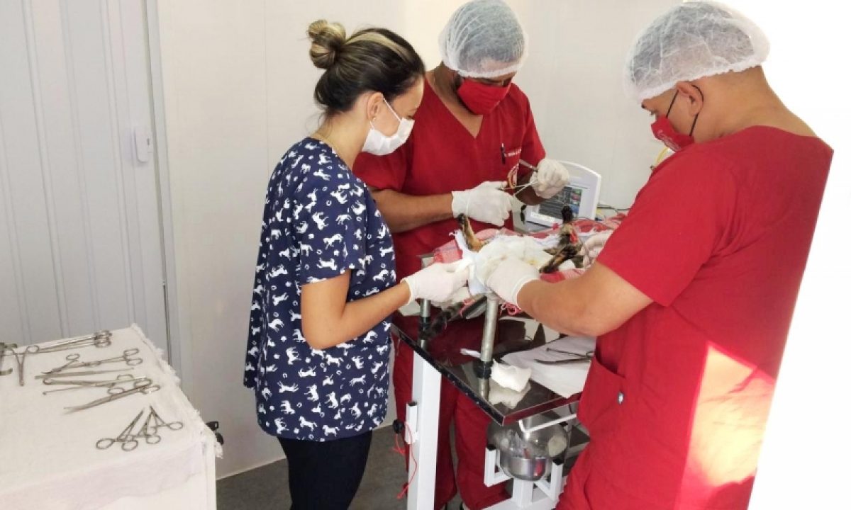 c27b63abca8d9b7857de05955ea8972f