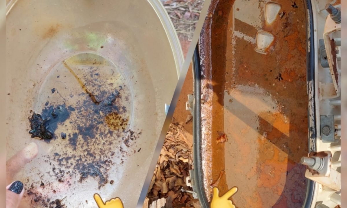 c6bccf9aae19add2ed11428577cd823b