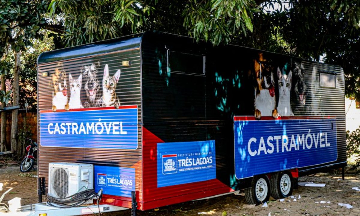 castramovel-e1625076301975-3