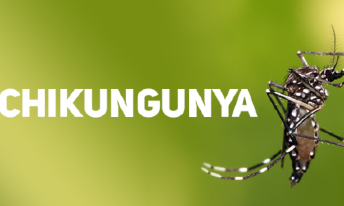 chikungunya-420x280_c