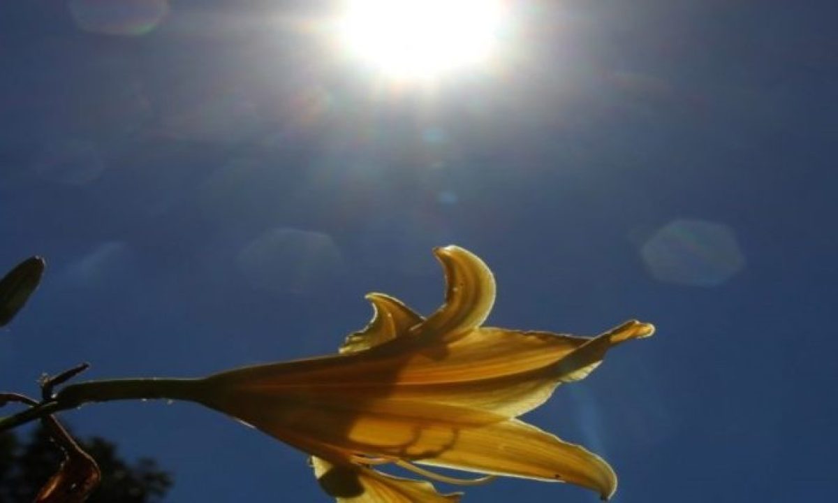 clima_sol-escaldante2_chico-ribeiro-768x425-730x425