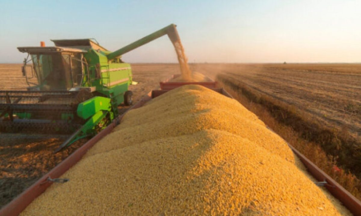 colheita-de-soja-750x430