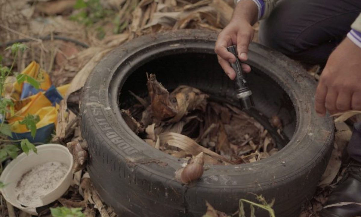 combate-a-dengue_terreno_divulgacao-gov-04-fev-2024-730x480