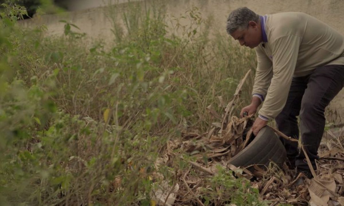 combate-a-dengue_terreno_divulgacao-gov-05-fev-2024-730x480-2