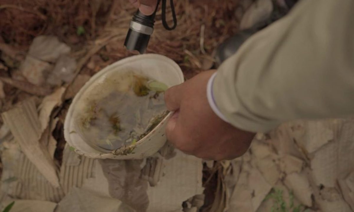 combate-a-dengue_terreno_divulgacao-gov-07-fev-2024-scaled-1-730x480