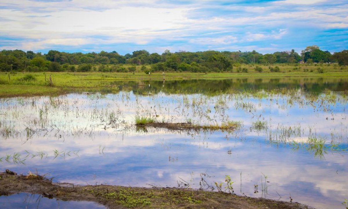 concurso_fotografia-28-1-e1650897826234