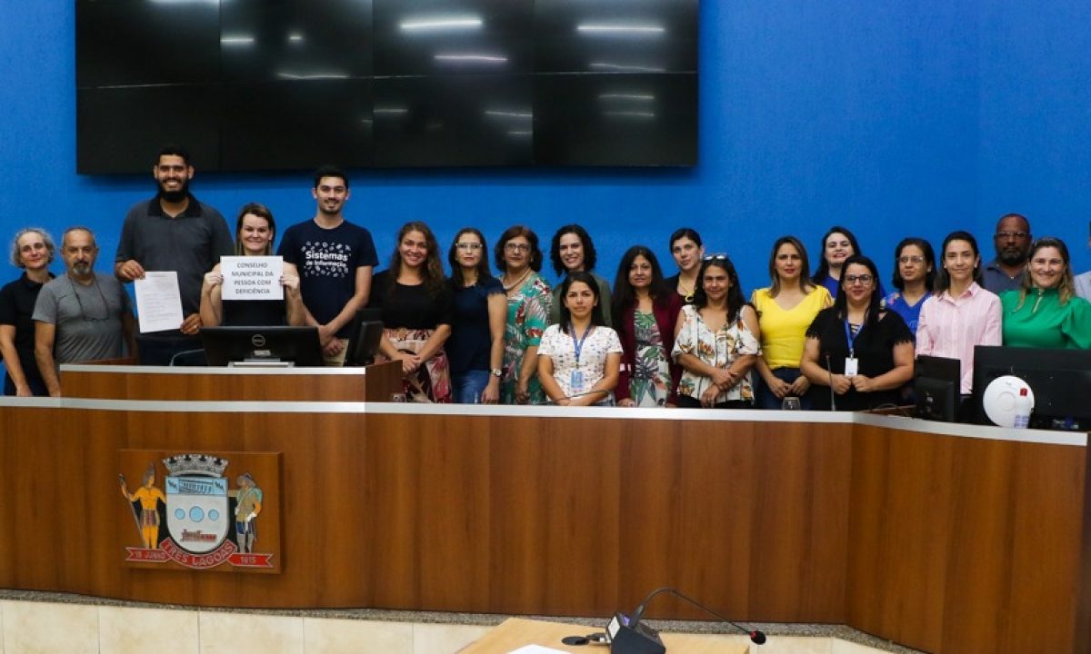 conselho-pessoa-com-deficiencia