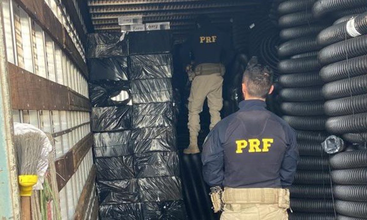 d2d00956-130f-4958-bec0-abf21d2b7c03