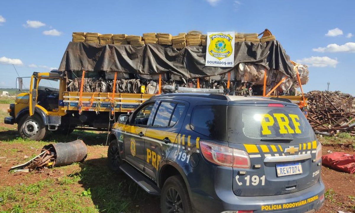 d520867d-9d48-4a8b-ae09-34ffbc6f5190