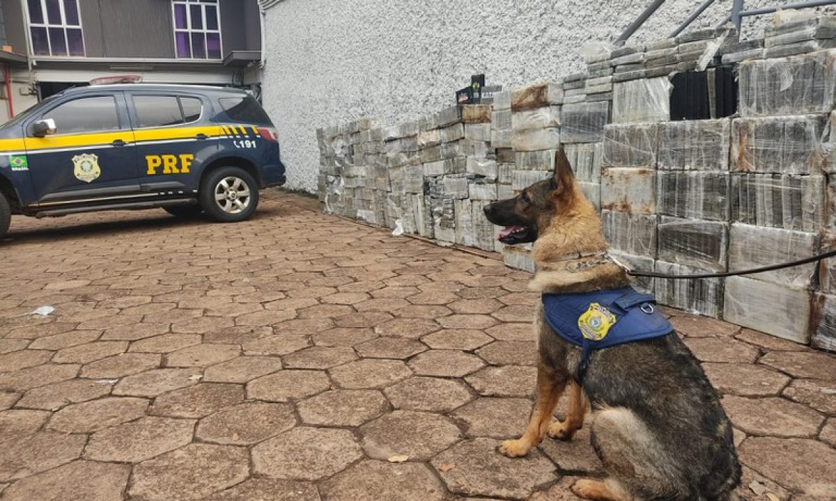 d5a4f6e1-37d0-4a48-97f9-e8d604ca4a75