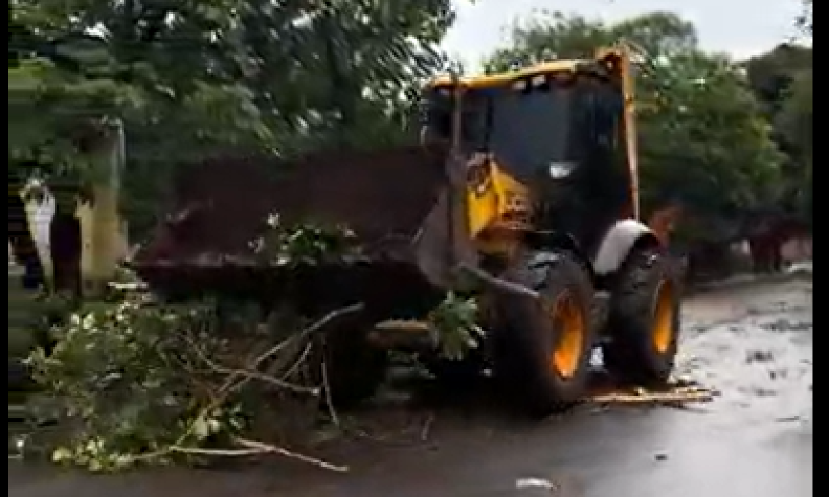 d825ca9a3409a66887dd1646cab0f39a