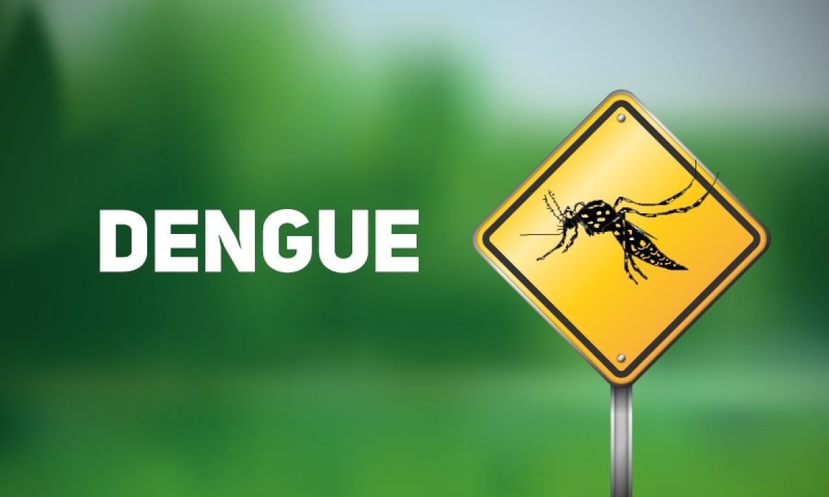 dengue (4)
