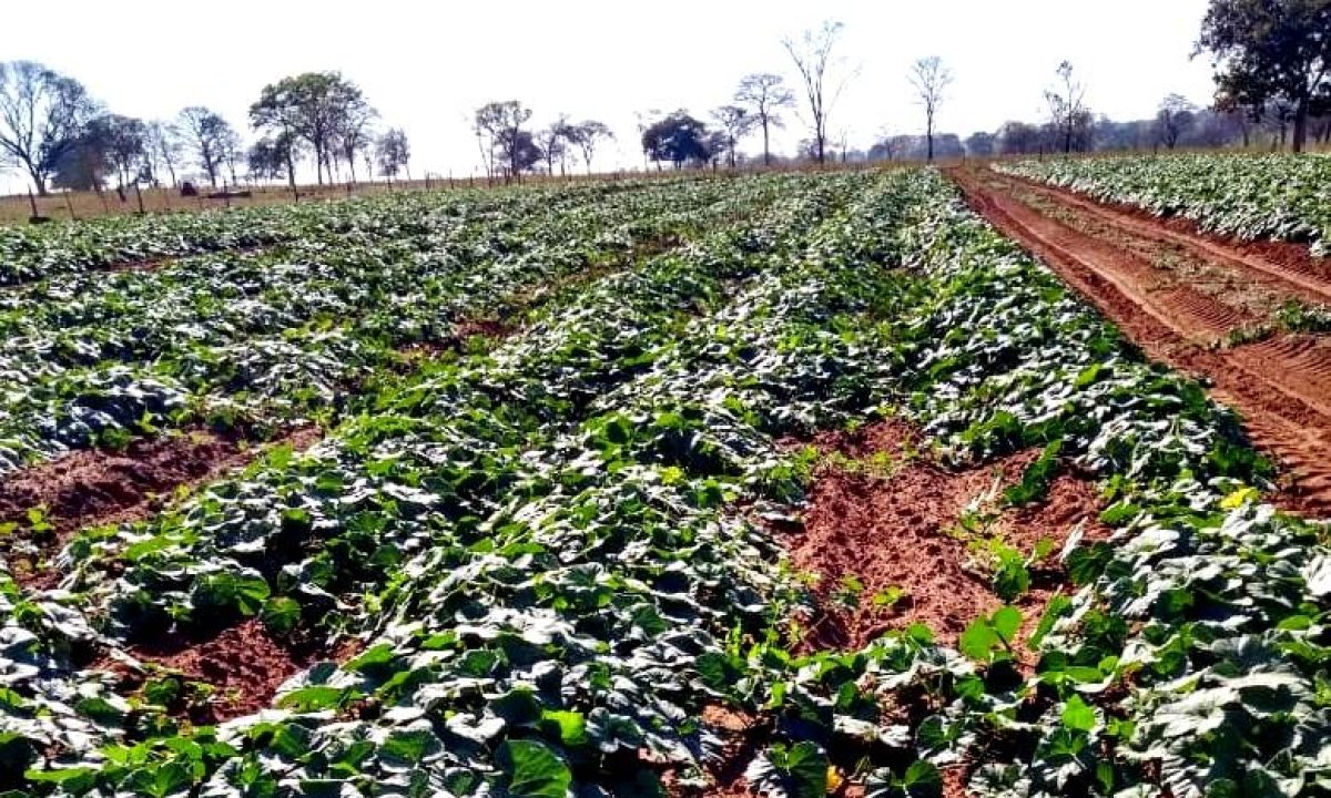 e9f30345ce65fecc995467aea6f0f434