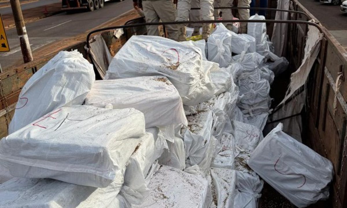 ec151a95-249c-428f-8371-f43b704aa862