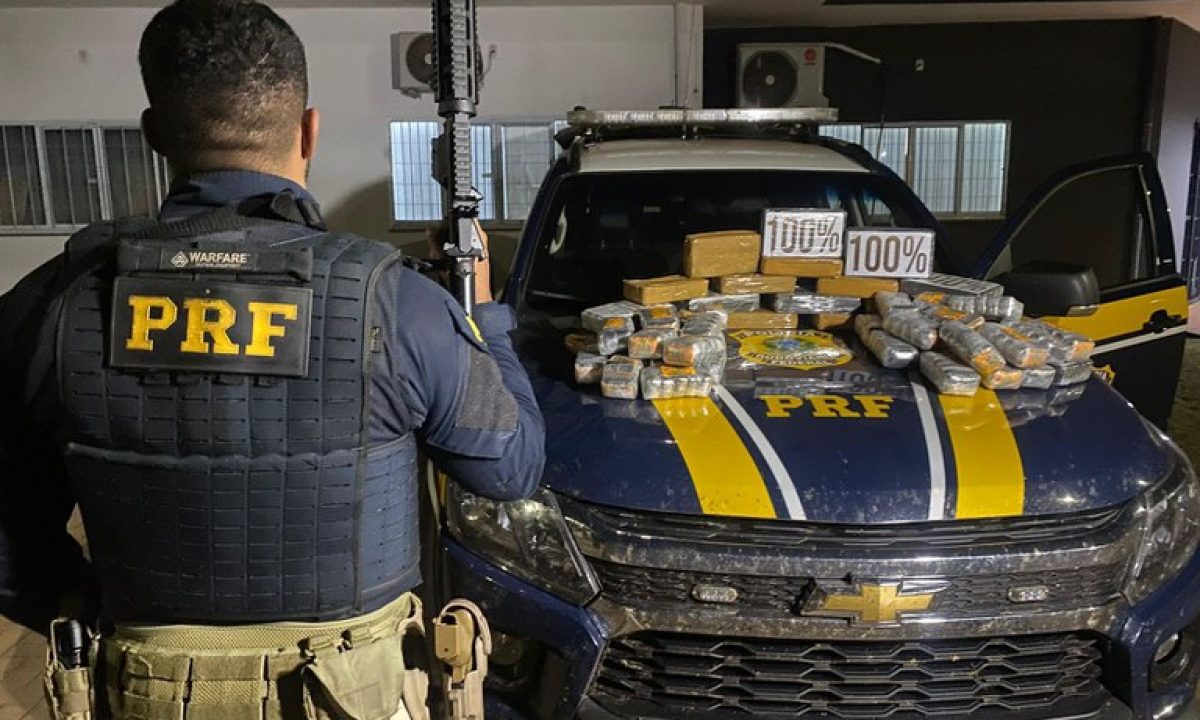 ed07e745-0b11-49cc-83af-a85d1b7ecdf5