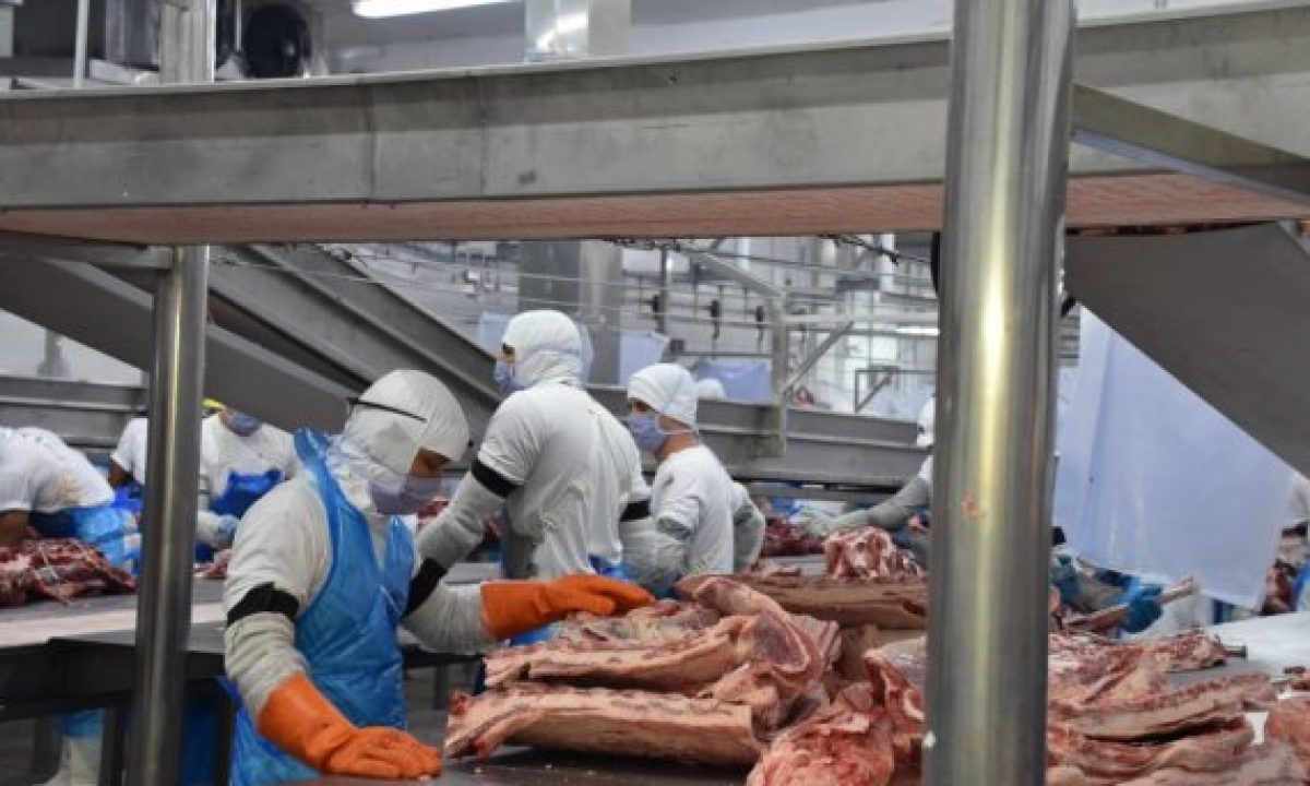 emprego_caged_industria_fiemsz1_b