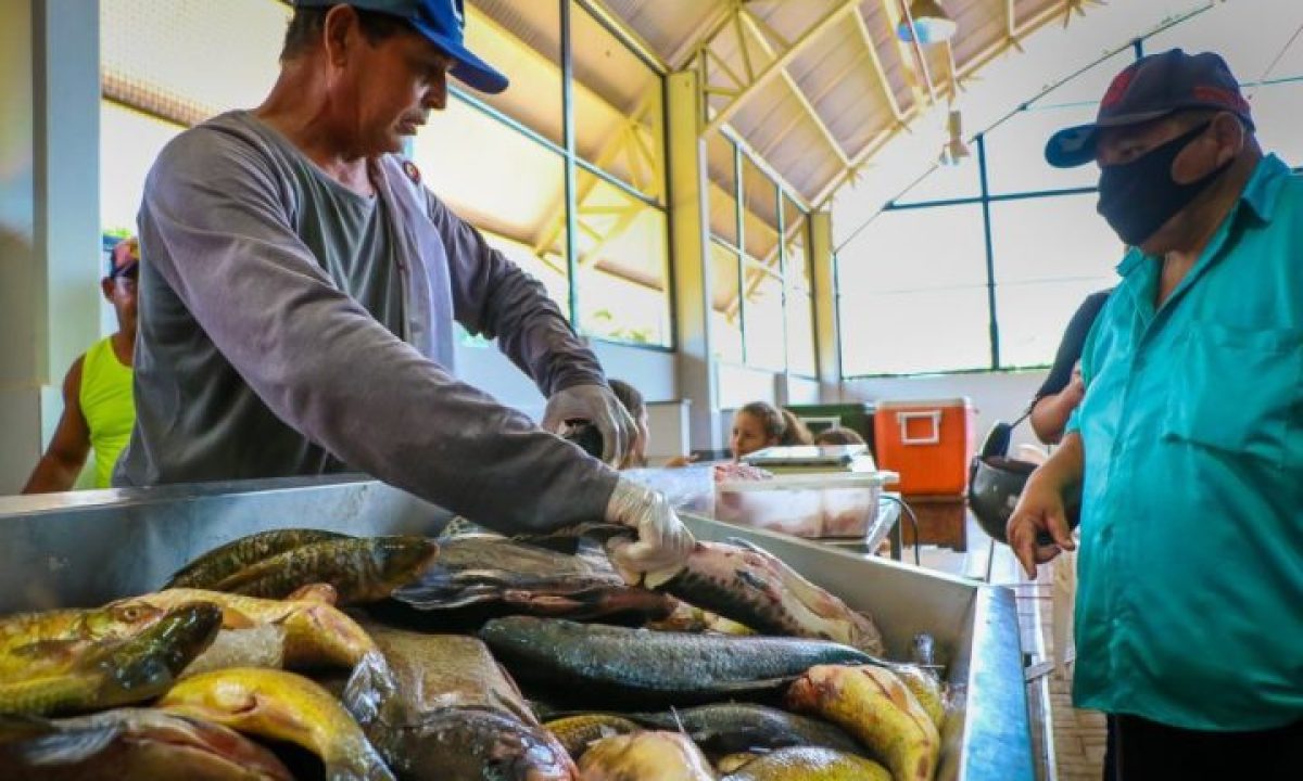 feira_do_peixe-3-scaled-e1709818968891