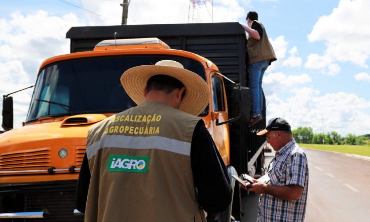 foto-Saul-Schramm-14-730x480