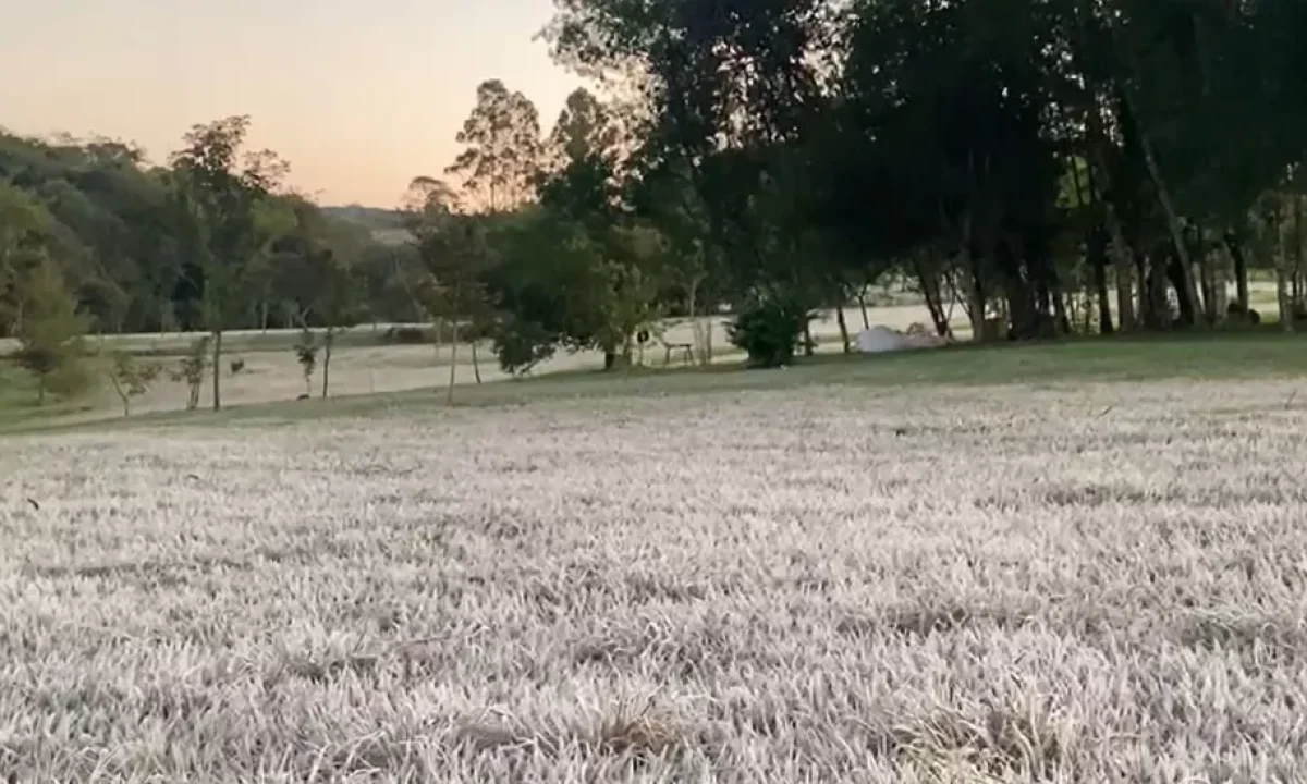 geada-ponta-pora-1306