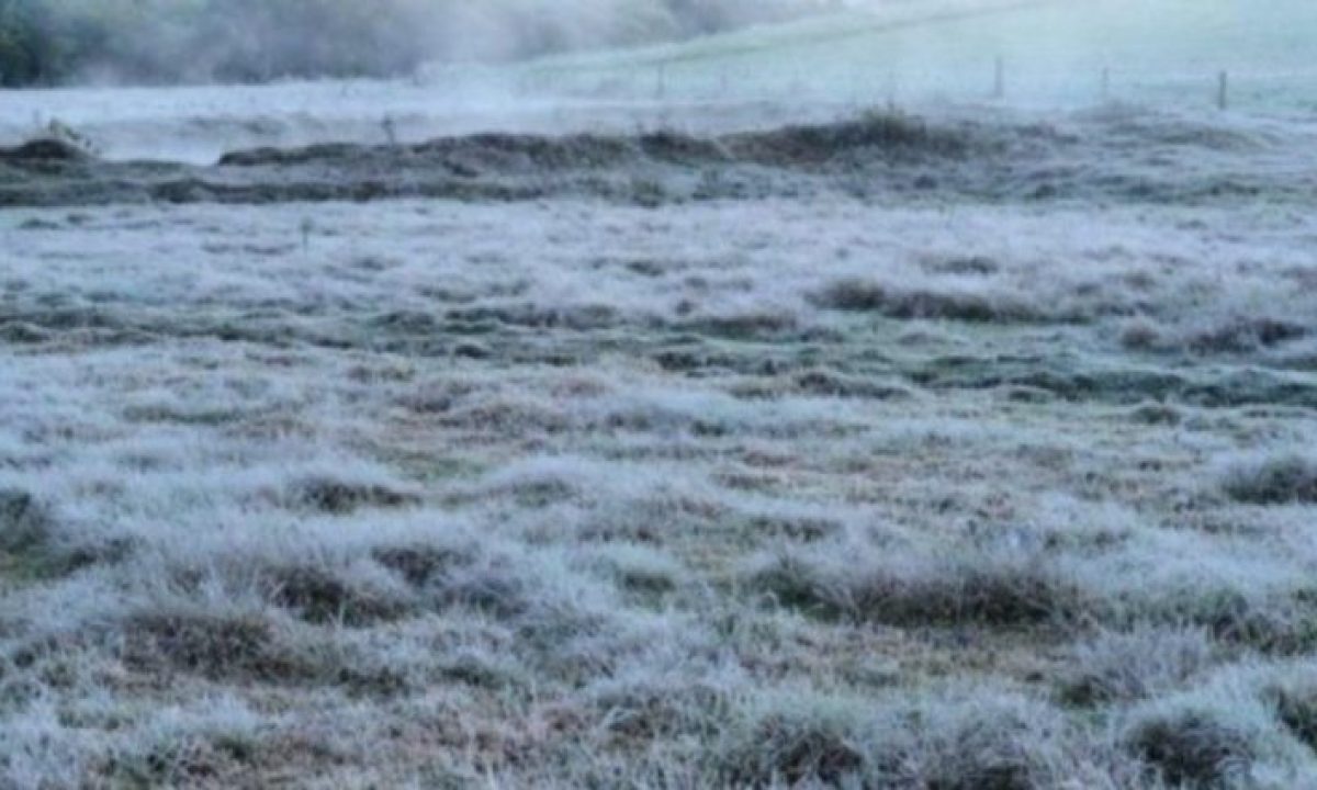 geadas-cemtec-768x425-730x425