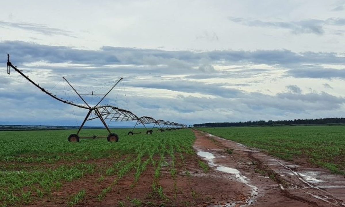 irrigacao-lavouras-e1712169802704-730x480