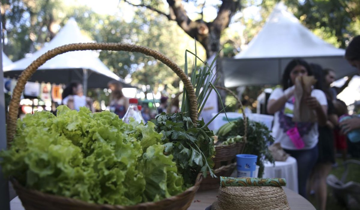 Em Brasília o evento Hora do Planeta tem programação com diversas atividades ligadas à sustentabilidade, como feira de adoção de animais, feira sustentável, espetáculos artísticos e oficinas.