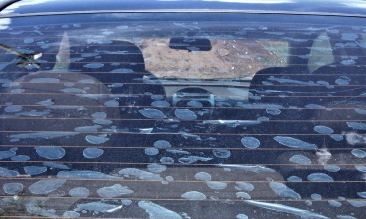 lei-insulfilm-730x480