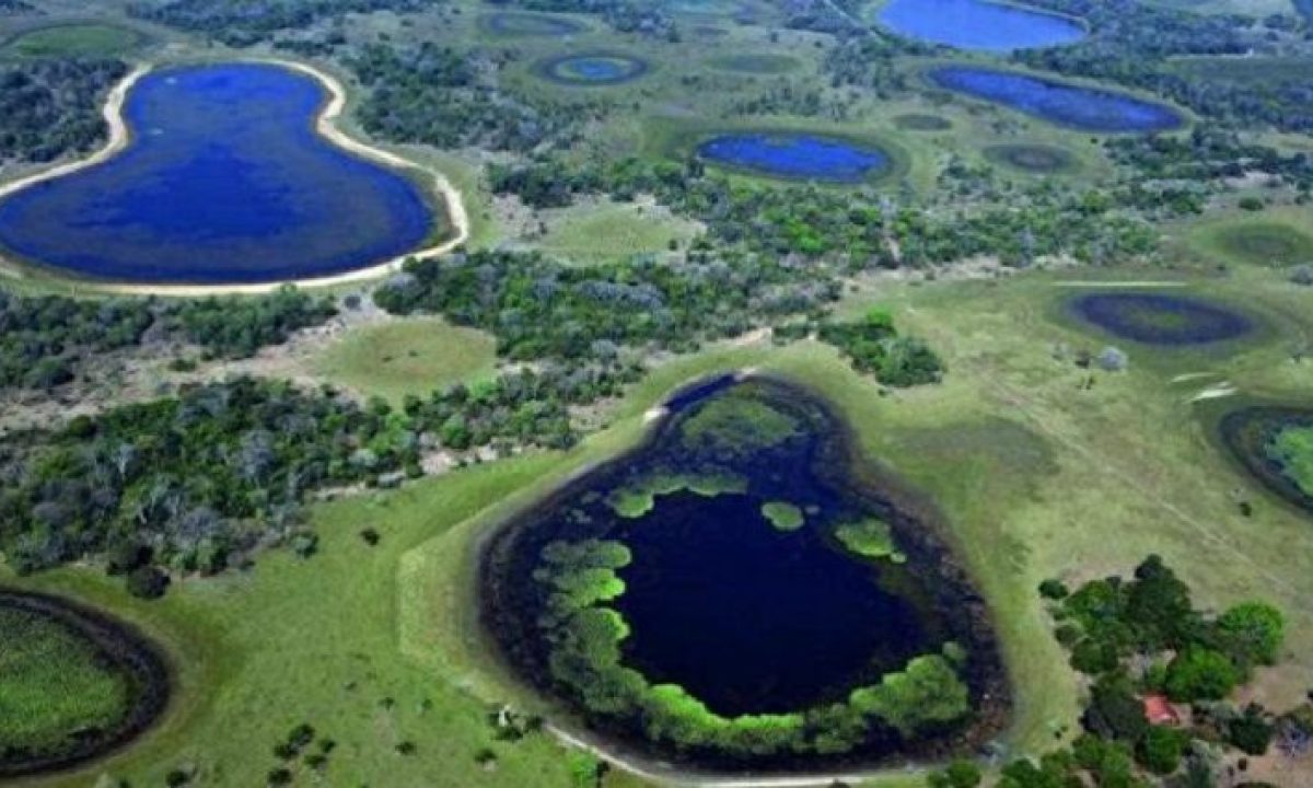 parque-estadual-do-rio-negro_foto-guilherme-rondon-e1646251477735-730x425