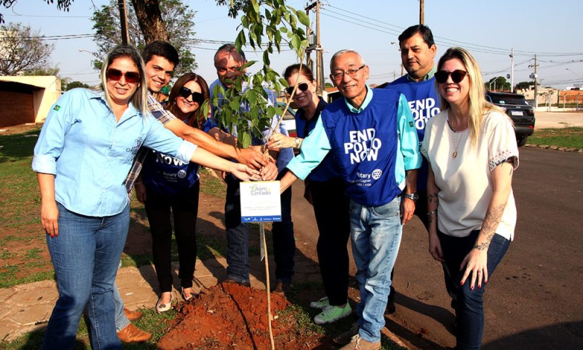 projeto-agro-mais-cerrado-1-e1662036102366