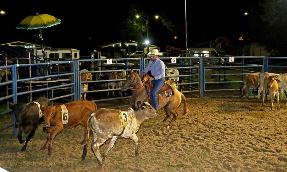 ranch-sorting-11-scaled