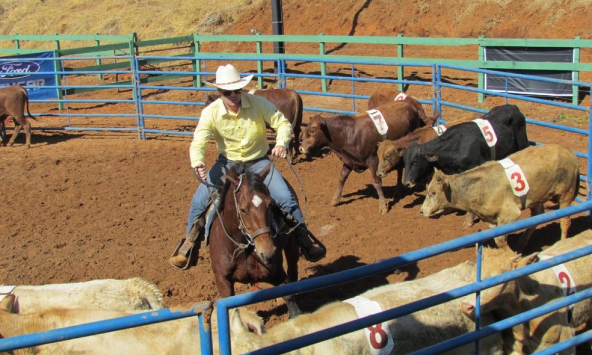 ranch-sorting-e1652459942622