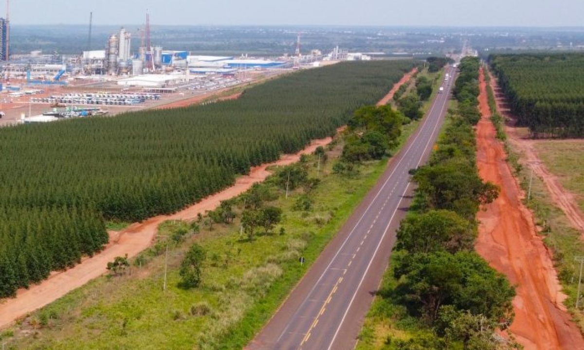 rota-da-celulose-capa-1-1-730x480