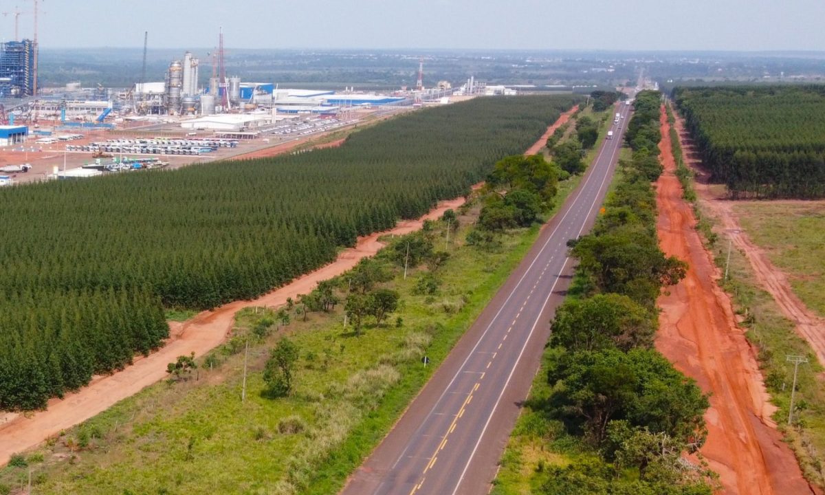 rota-da-celulose-capa-1-1-scaled