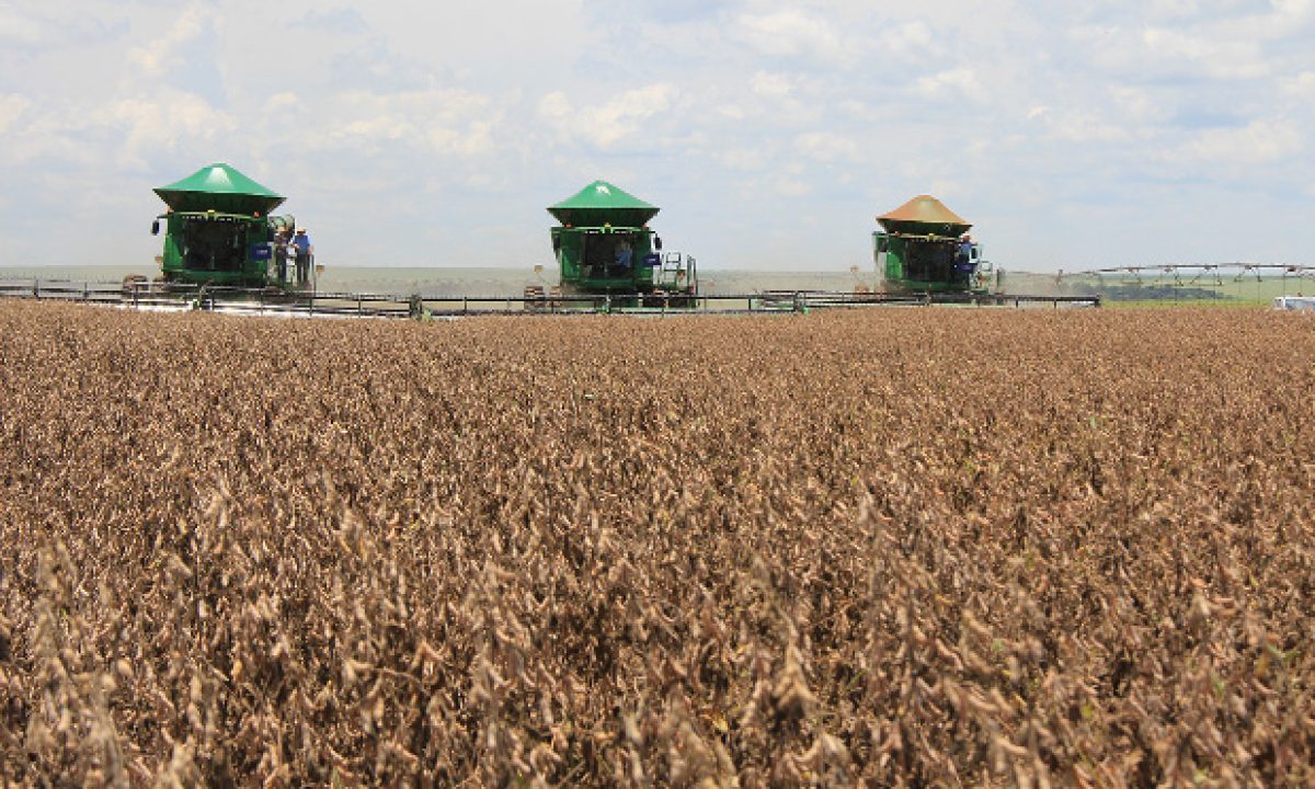 safra-soja-agronegocio