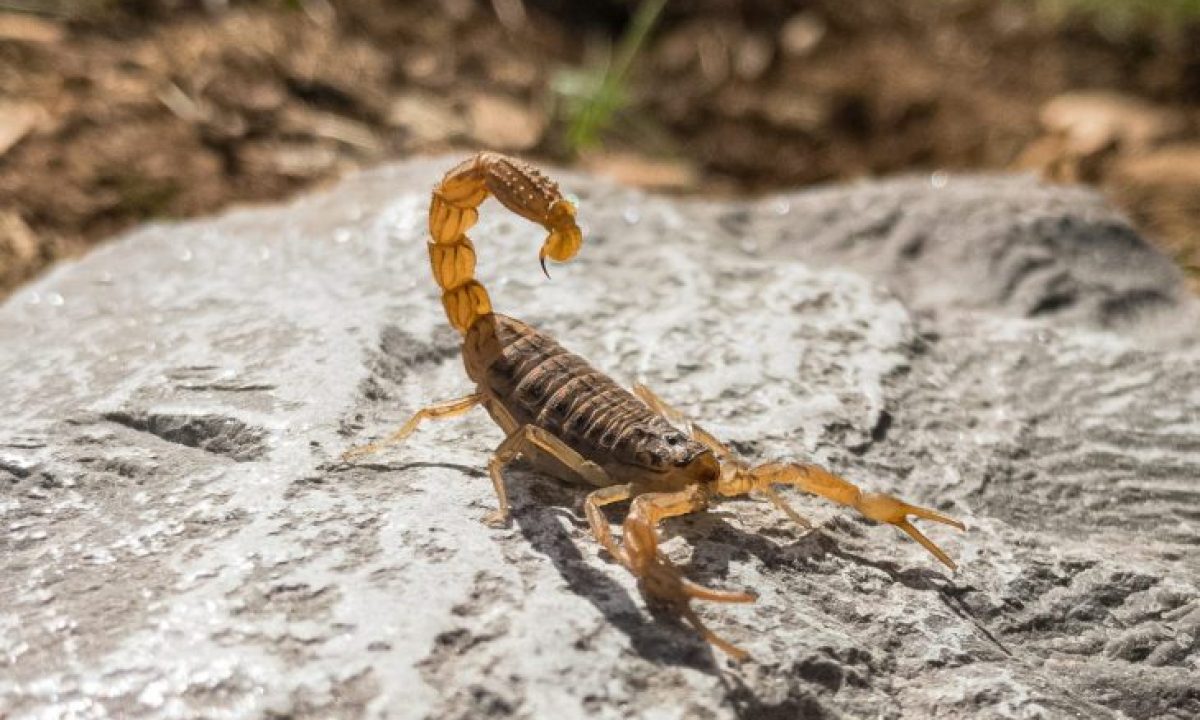 sina-katirachi-VfdRlDDp_sk-unsplash-scaled-e1695827744179-730x480