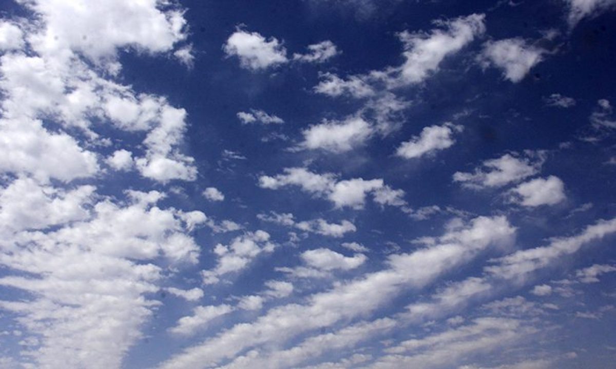 tempo-Fto-Chico-Ribeiro-3-730x425