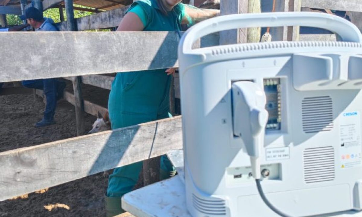 ultrassom-animal-03-2-scaled-2