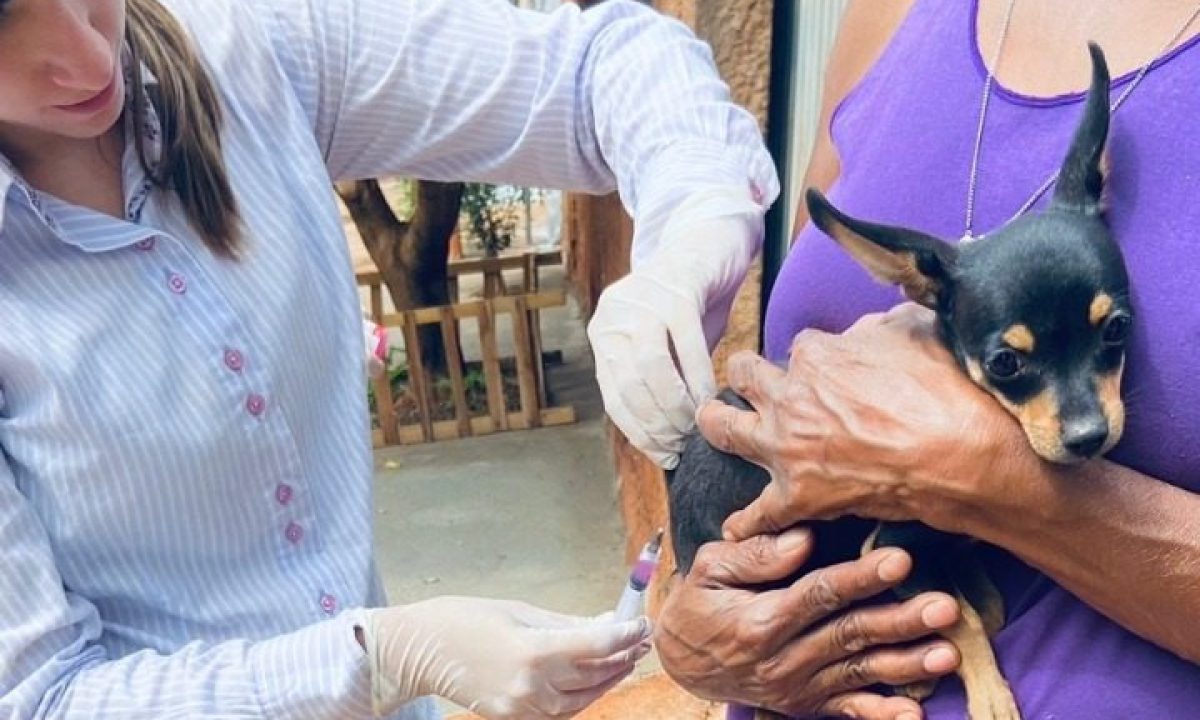 vacina-antirrabica-jan-3