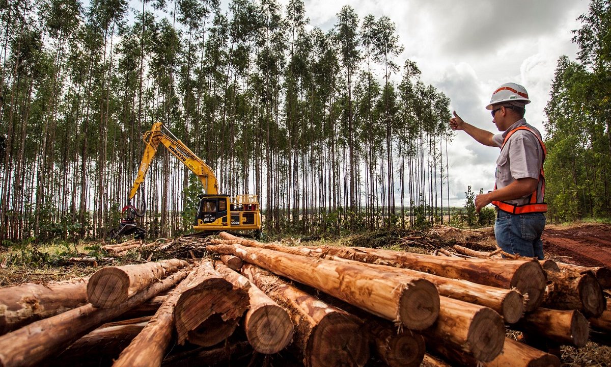 vaga-trabalho-suzano