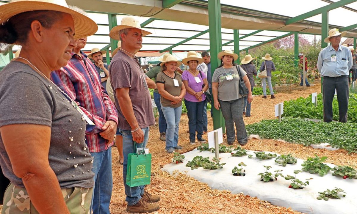 vitrine-tecnologica-19-e1663013845436